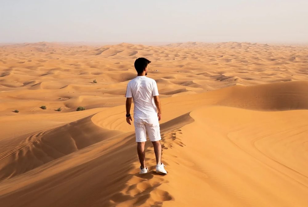 Guided tour in Dubai