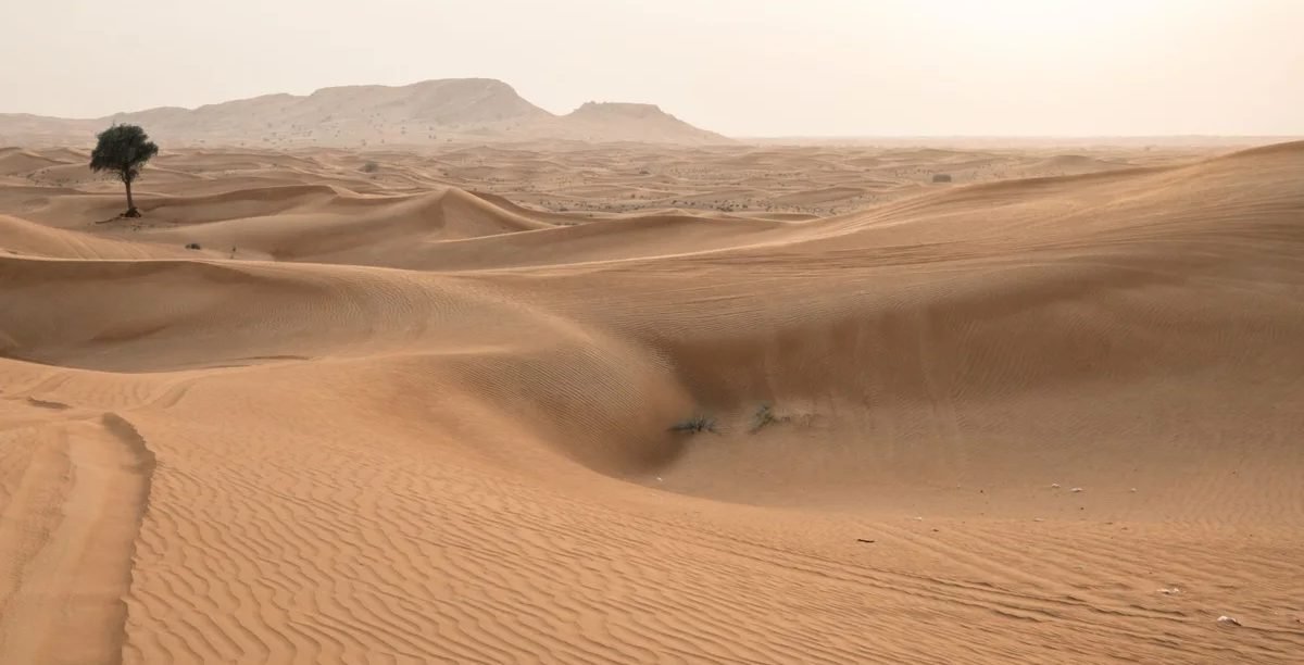 Desert dunes near Dubai at sunset