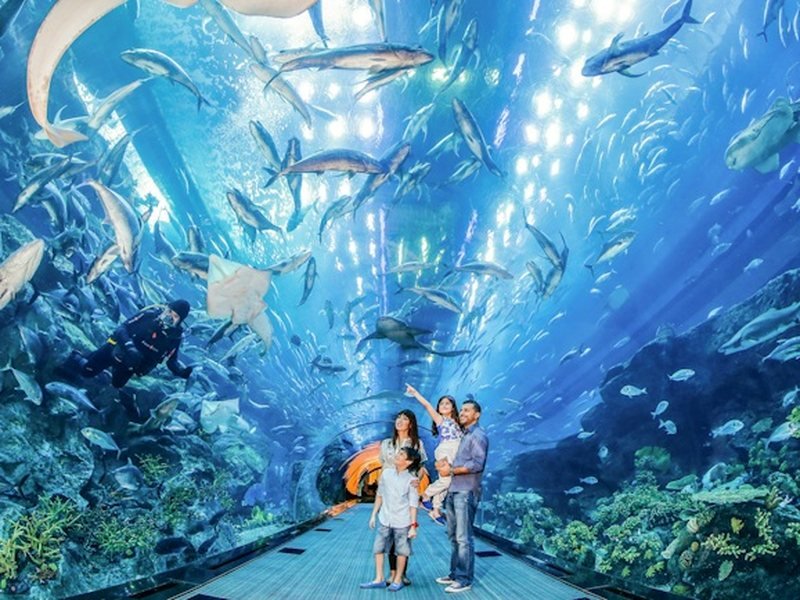 Dubai Aquarium & Underwater Zoo — book with Our Holiday