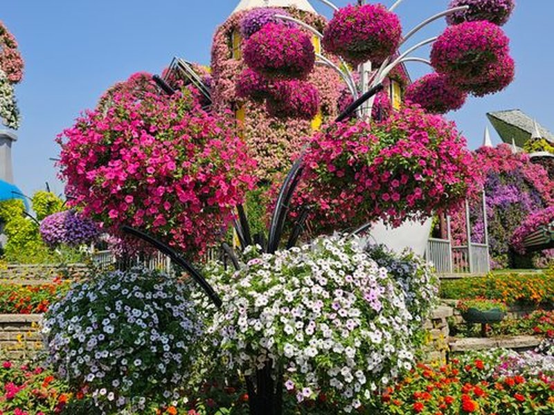 Dubai Miracle Garden — book with Our Holiday